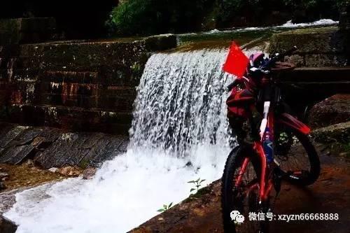 小猫钓鱼正版下载中文版